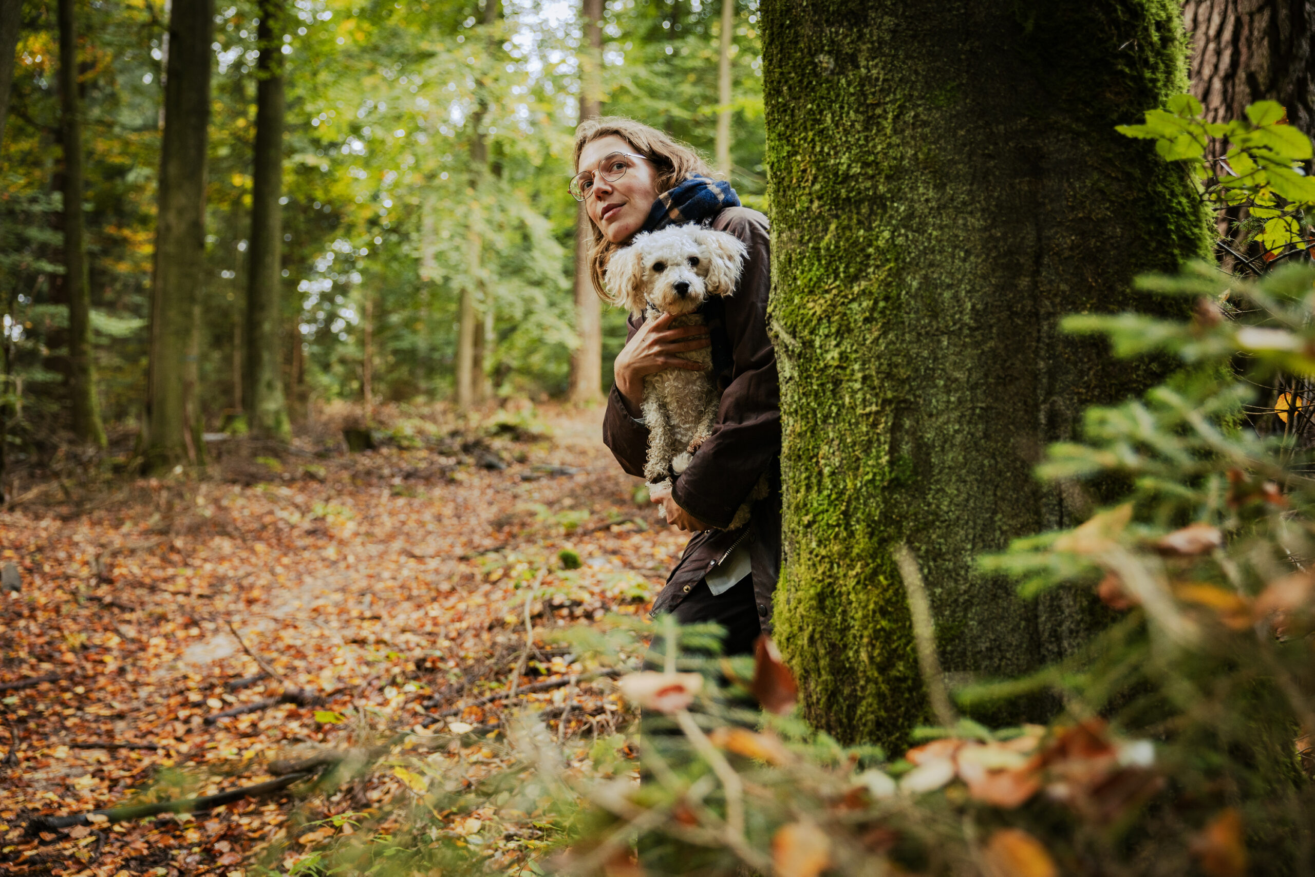 Zwei tote Schafe und eine Wolfs-Sichtungen in Harburg: Wie gefährlich ist jetzt ein Spaziergang im Wald? MOPO-Reporterin Katharina Langenbach und Hund Knöpfchen probieren es aus und begeben sich auf Wolfs-Suche.