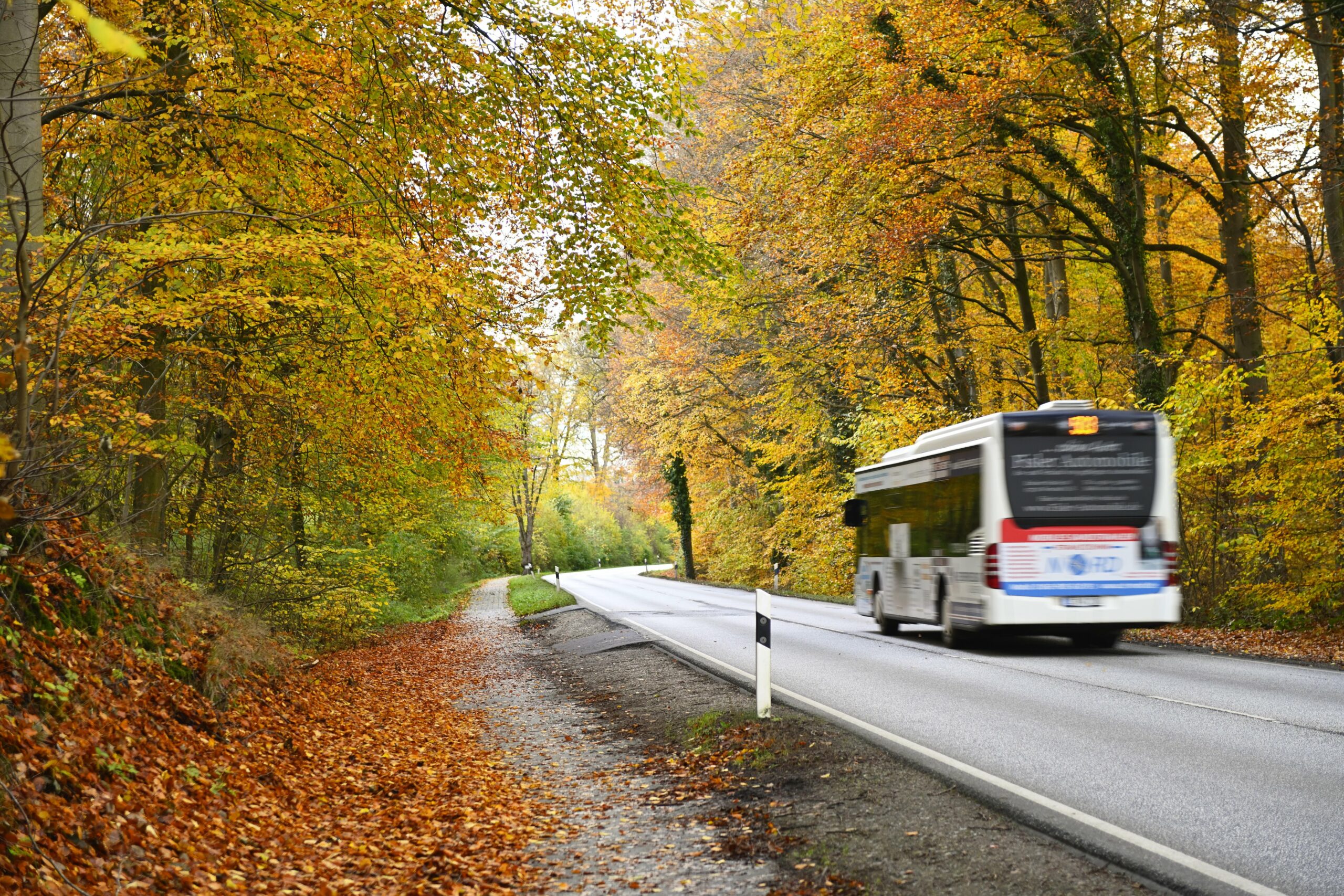 „Bus statt Bahn“, heißt es bald für viele Pendler im nördlichen Hamburger Umland.