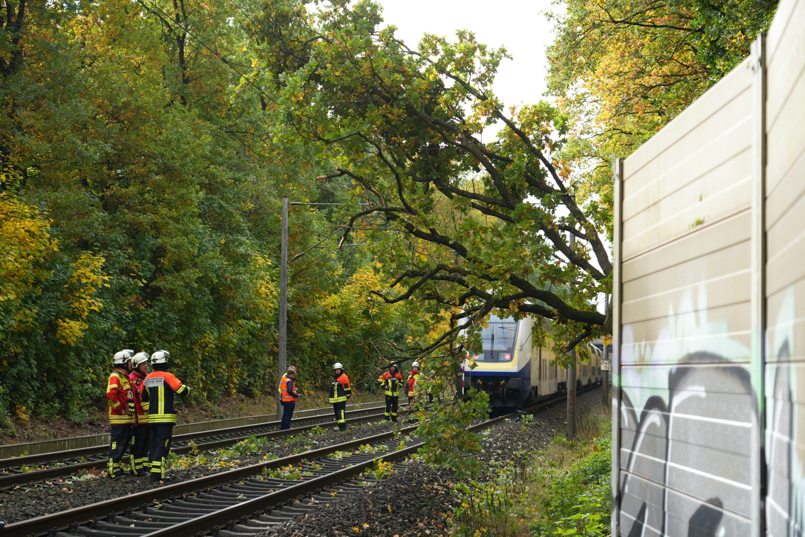 Der Baum stürzte in Buchholz auf der Strecke Hamburg-Bremen vor einen Metronom.