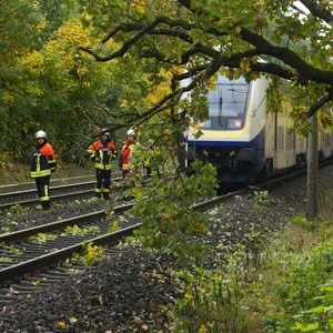 Der Baum stürzte in Buchholz auf der Strecke Hamburg-Bremen vor einen Metronom.