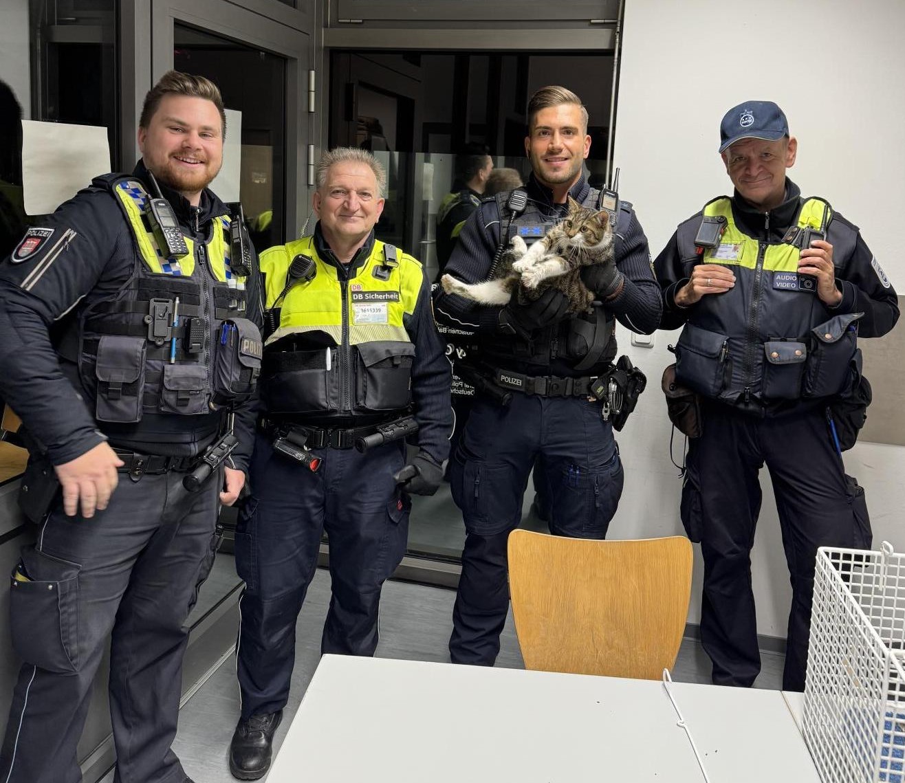 Streunende Katze am Hauptbahnhof eingefangen – wer kennt diesen Stubentiger