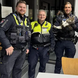 Streunende Katze am Hauptbahnhof eingefangen – wer kennt diesen Stubentiger