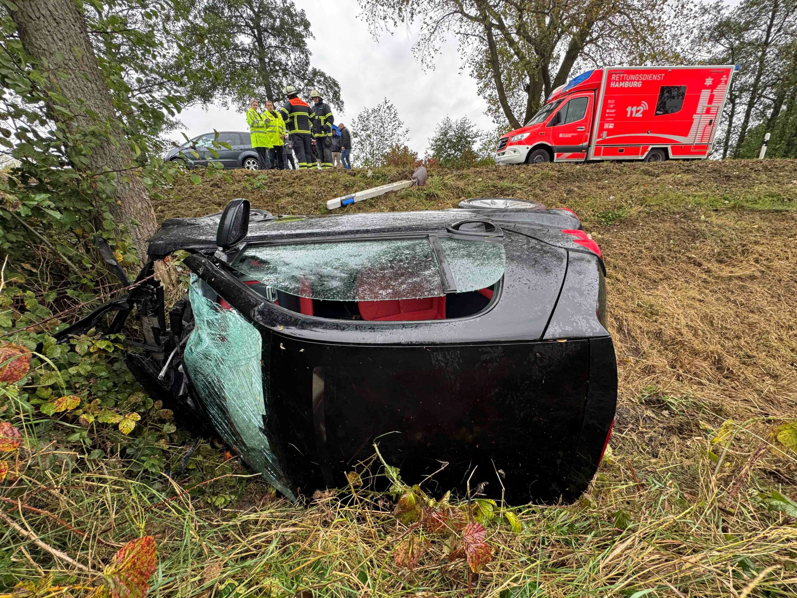 Smart fliegt am Deich aus Kurve - Fahrer verletzt in Klinik