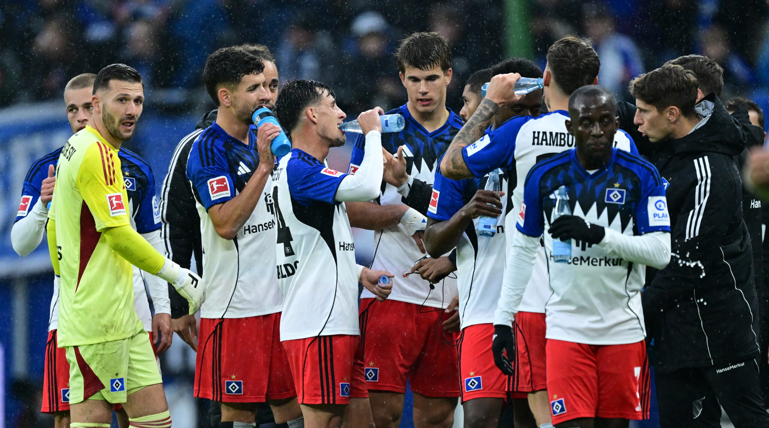 Die HSV-Profis um Daniel Heuer Fernandes an der Seitenlinie