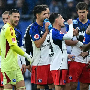 Die HSV-Profis um Daniel Heuer Fernandes an der Seitenlinie