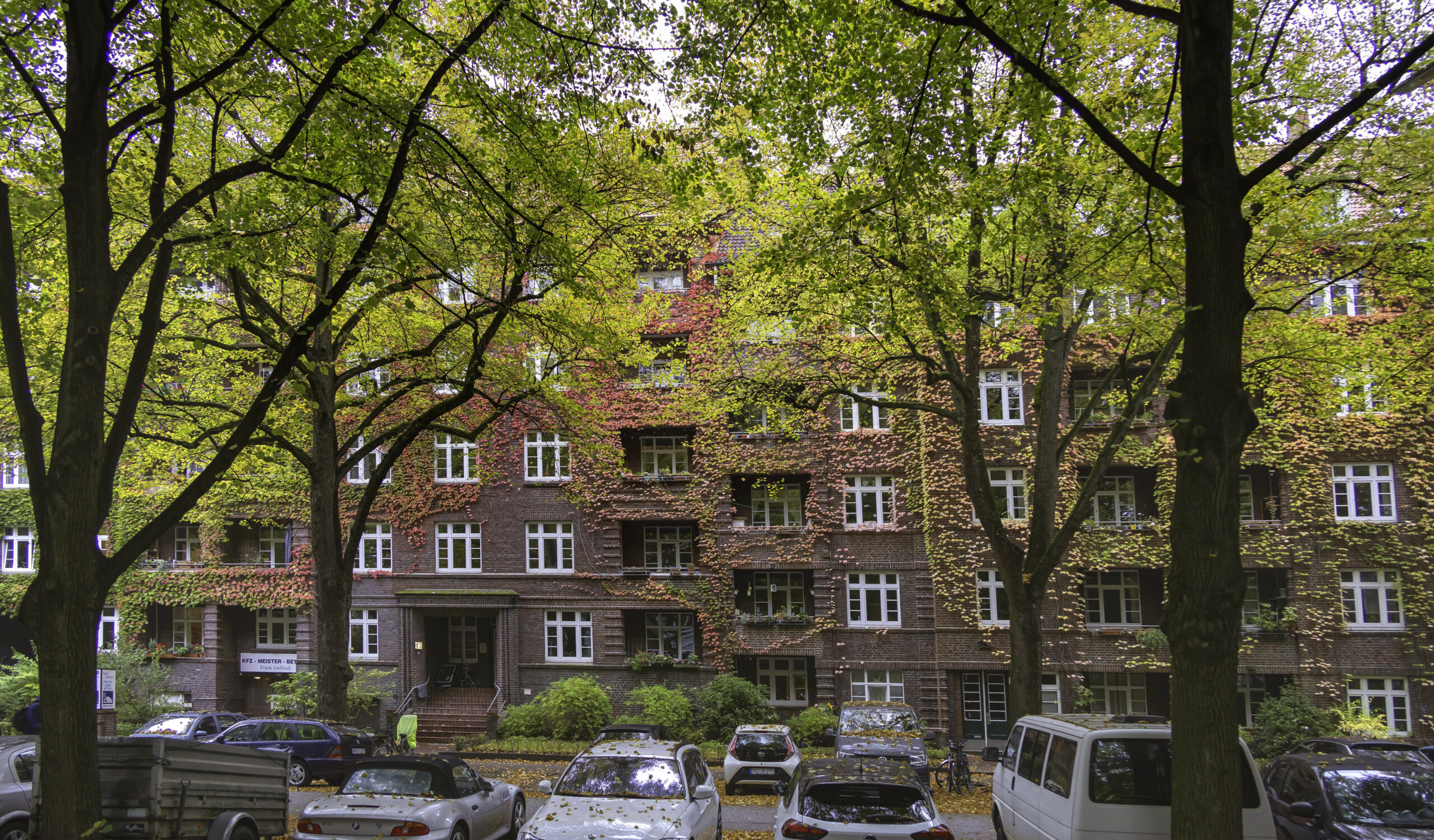 Mehr Grün an Hamburgs Straßen: Der Senat stellt über drei Millionen zusätzliche Mittel für Straßenbäume bereit