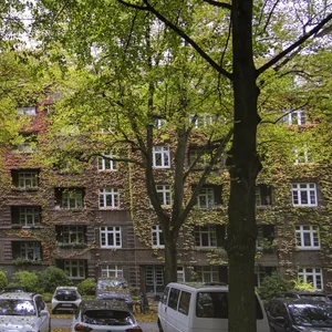 Mehr Grün an Hamburgs Straßen: Der Senat stellt über drei Millionen zusätzliche Mittel für Straßenbäume bereit