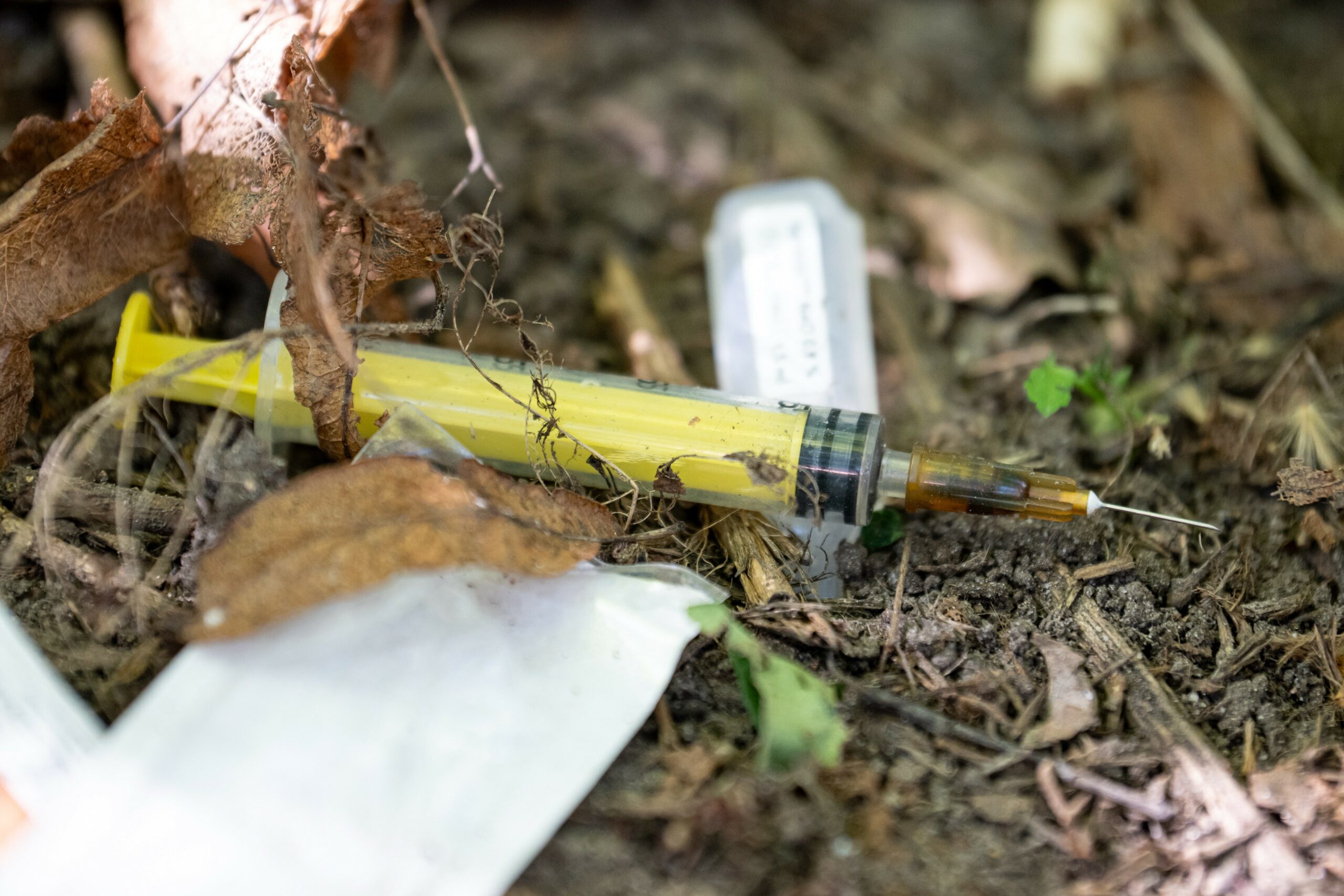 Eine Spritze für den Konsum von Drogen liegt auf einem Grünstreifen.