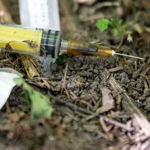 Eine Spritze für den Konsum von Drogen liegt auf einem Grünstreifen.