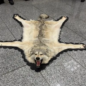 Zoll findet einen Wolfspelz im Koffer