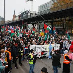Demo-Teilnehmer am Baumwall
