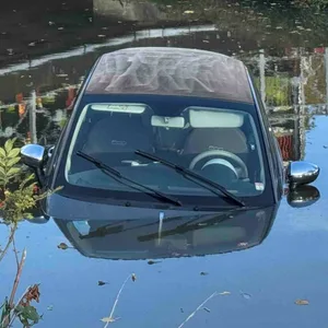 Der Fiat der Seniorin landete im Fleet und ging unter.