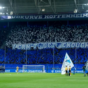 Fans der TSG Hoffenheim