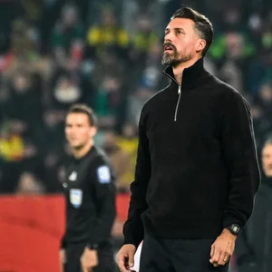 Sandro Wagner an der Seitenlinie im Spiel gegen den BVB