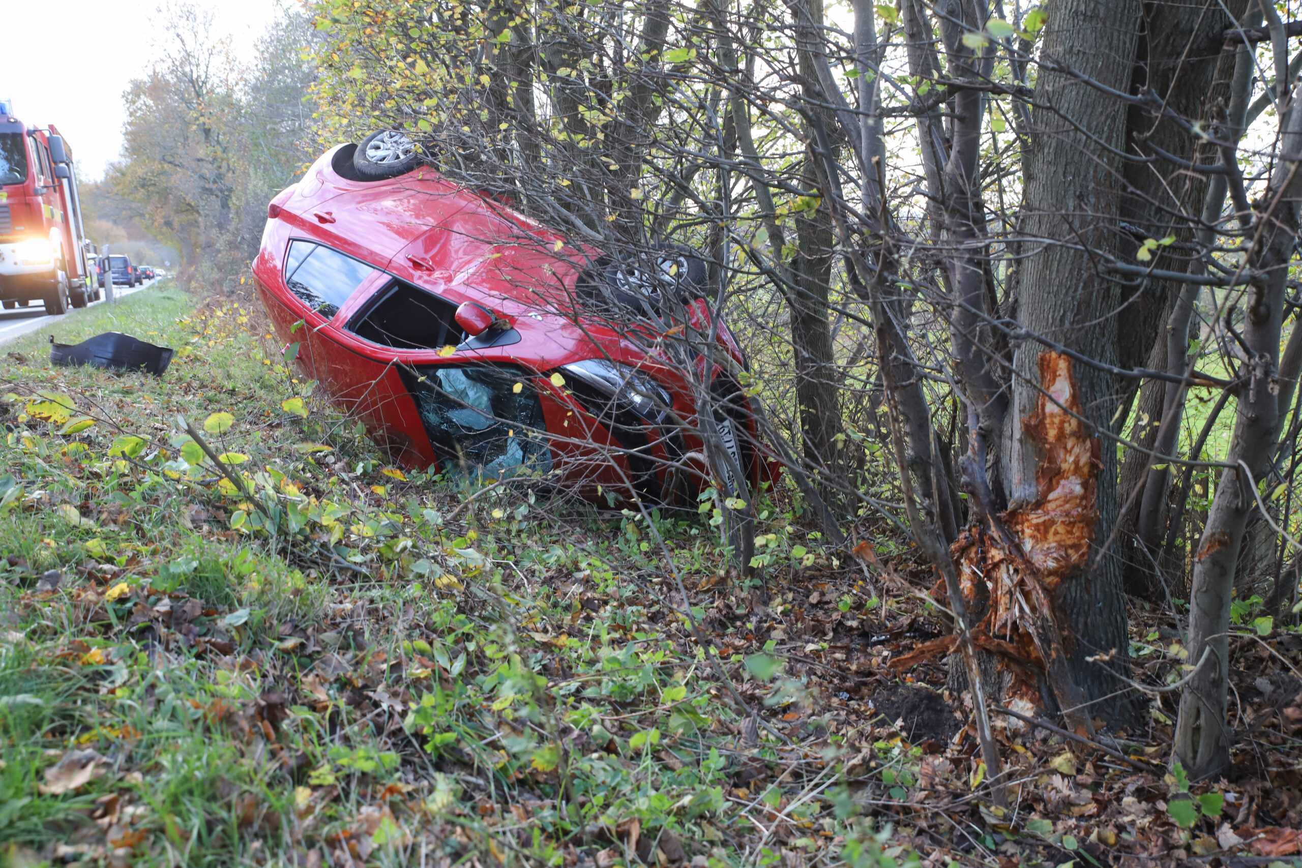 Auto Dach Landstraße
