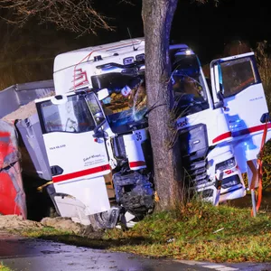 Ein Lkw, der gegen einen Baum gefahren ist.