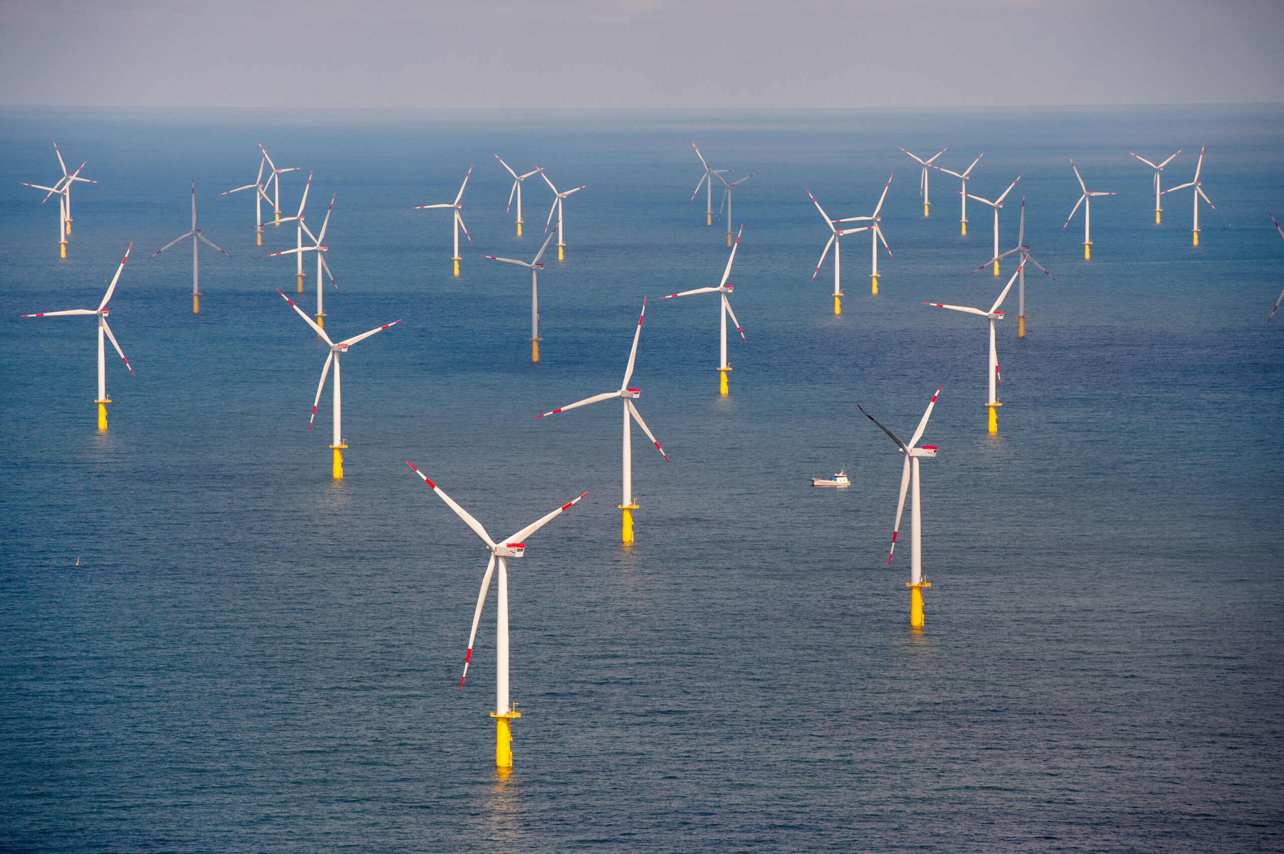 Der Offshore-Windpark, etwa 30 Kilometer vor der Insel Sylt in der Nordsee.