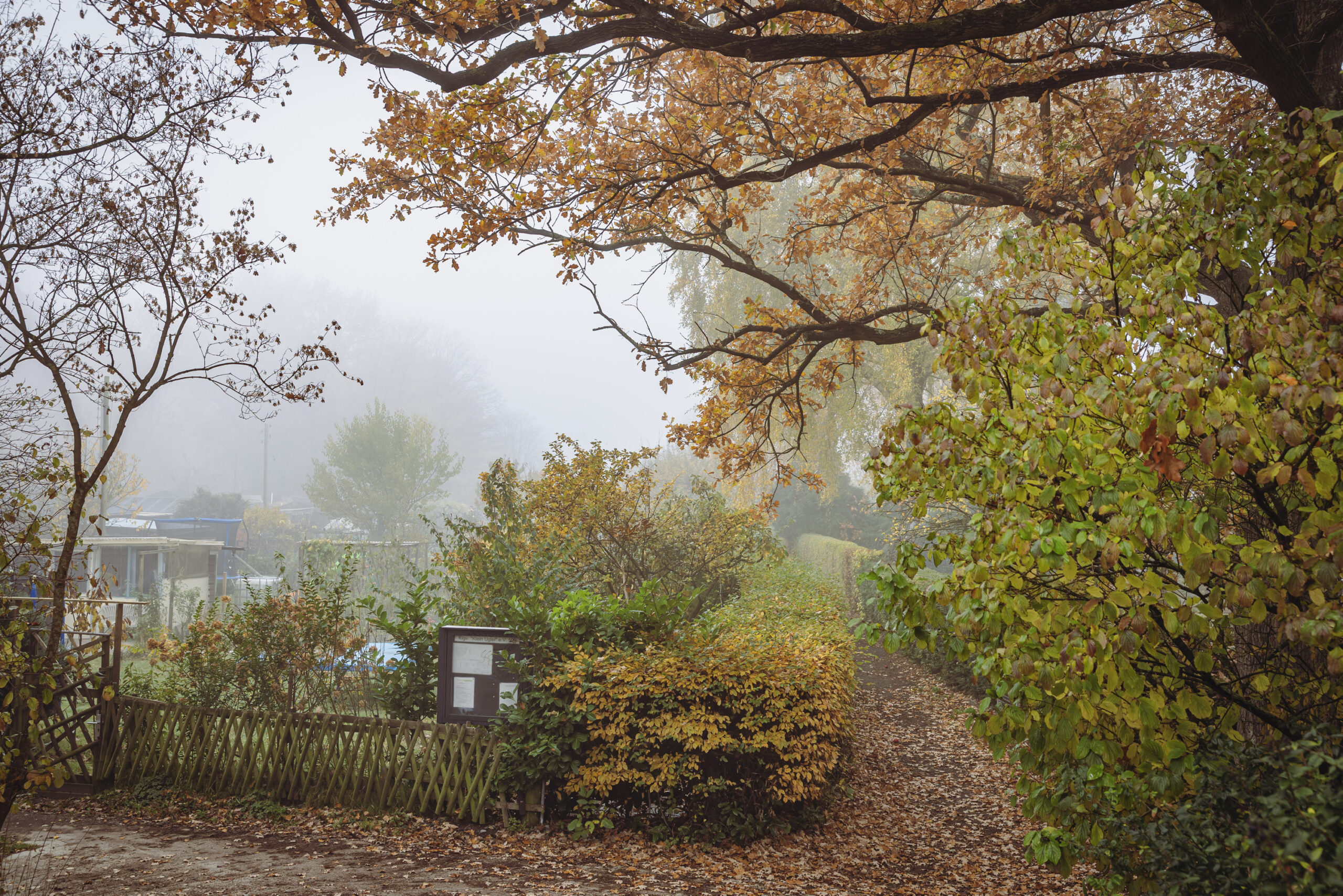 Die Kleingärten des Vereins „Klein Üglei“ an der Grenze zwischen Wandsbek und Tonndorf sollen Neubauten weichen.