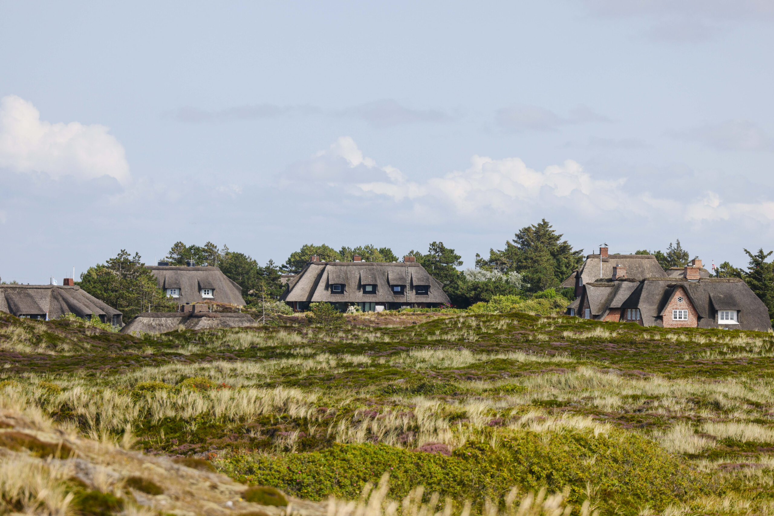 Reetdachhäuser stehen in den Dünen in Kampen auf Sylt (Symbolfoto).