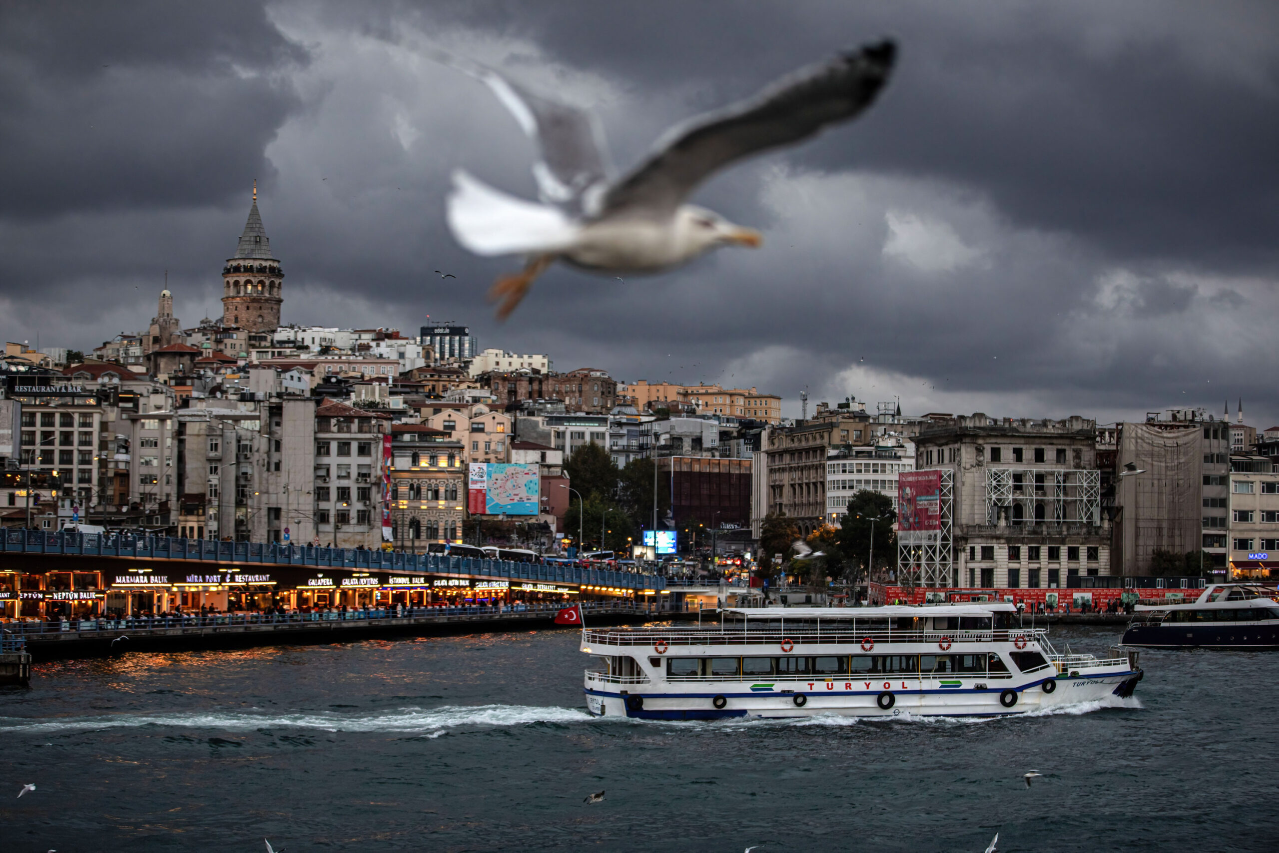 Eine Möwe fliegt bei bewölktem Wetter vor dem Galata-Turm.
