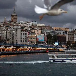 Eine Möwe fliegt bei bewölktem Wetter vor dem Galata-Turm.