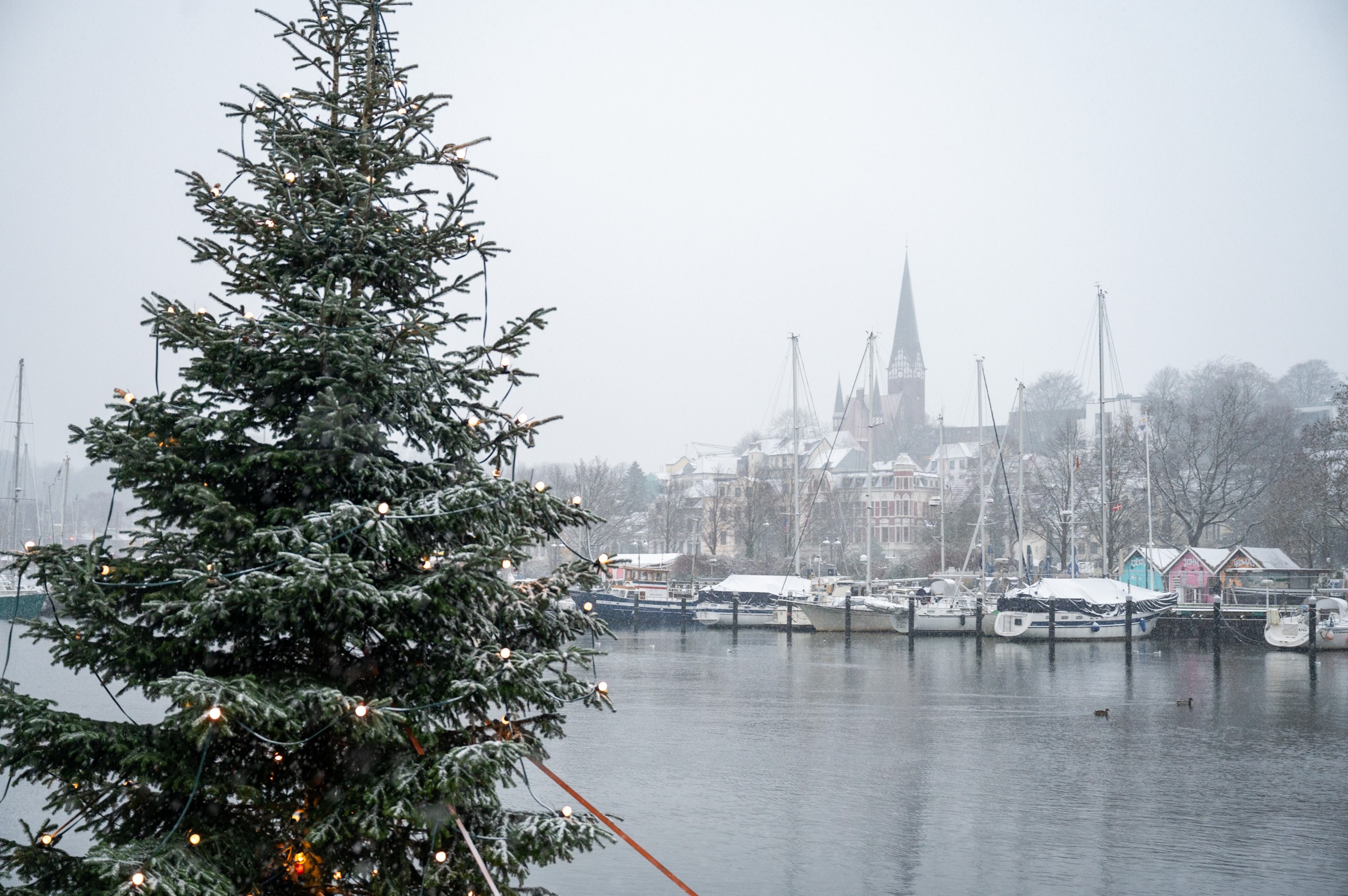 Geschmückter Weihnachtsbaum am Flensburger Hafen (Archivbild).