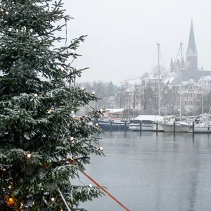 Geschmückter Weihnachtsbaum am Flensburger Hafen (Archivbild).