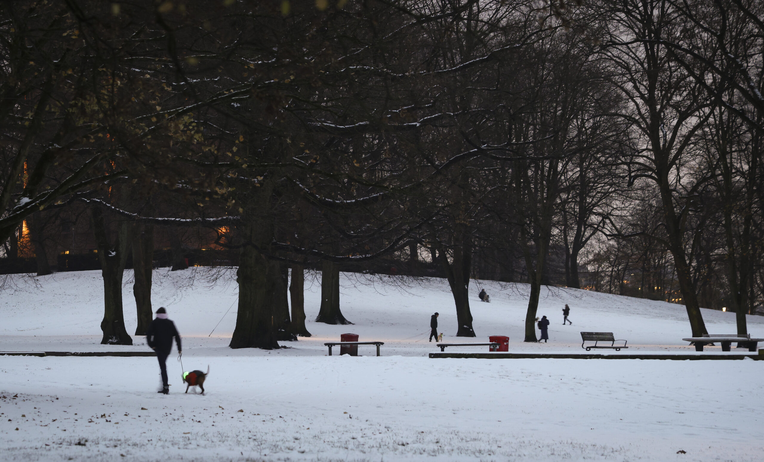 Schnee in Park
