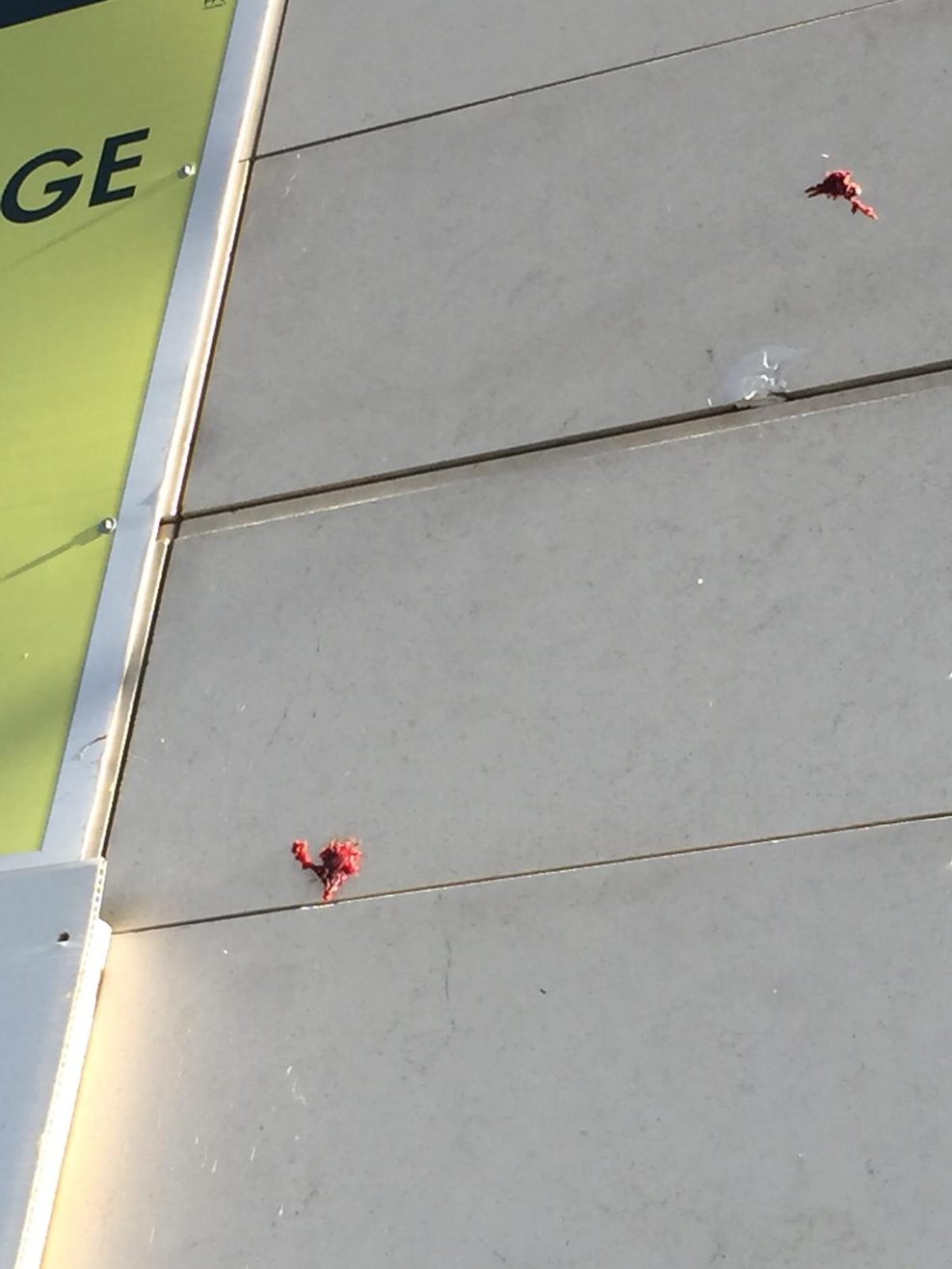 Blut an einem Sportgeschäft