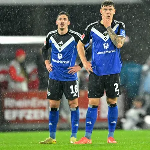 Giorgi Gocholeishvili, Nicolai Remberg, Luka Vuskovic (HSV)