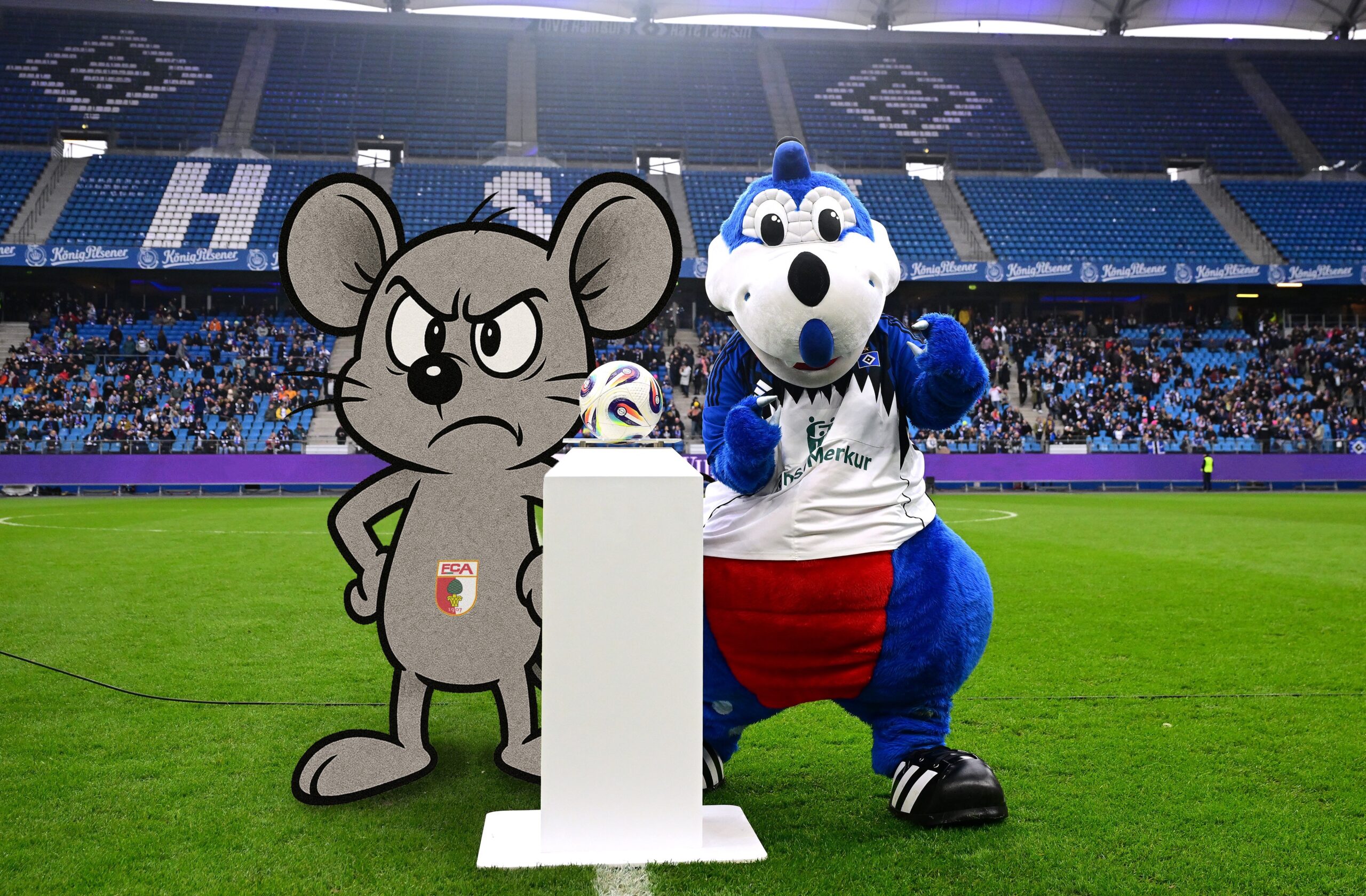 Dino Hermann und eine graue Maus im Volksparkstadion des HSV