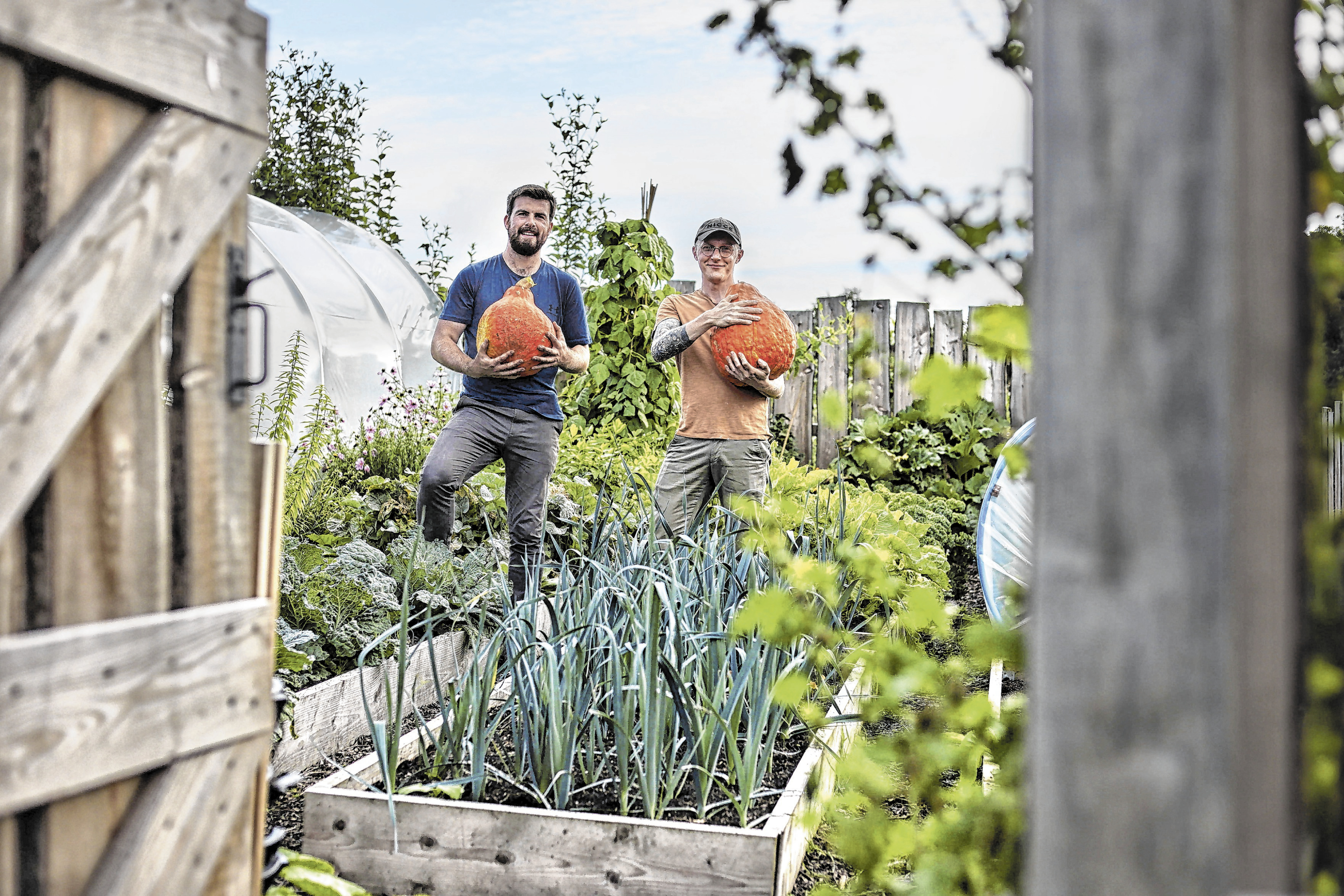 Sam Cooper baut Gemüse an und fermentiert es