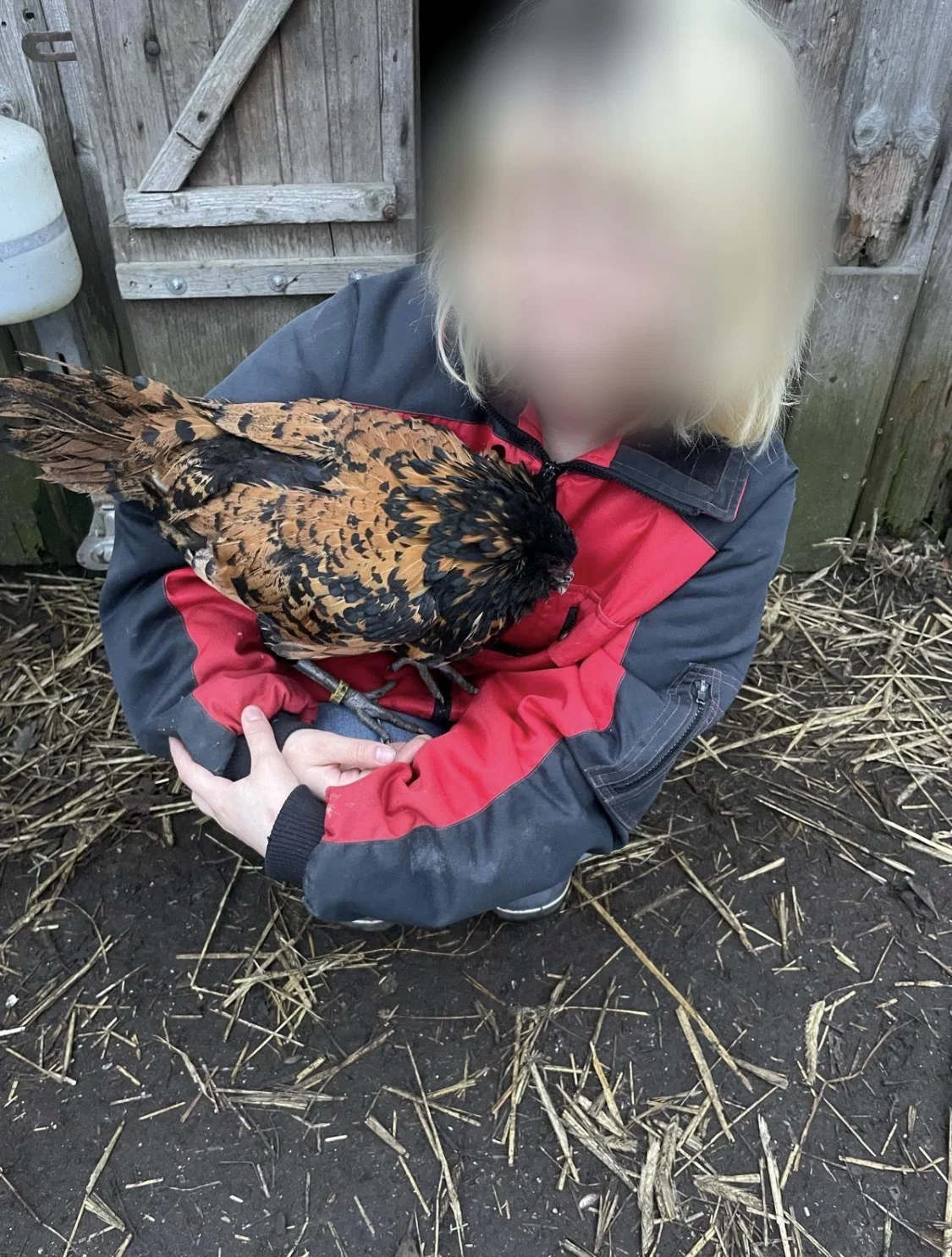 Die vermisste Felina P. ist wohlbehalten wieder zurückgekehrt.