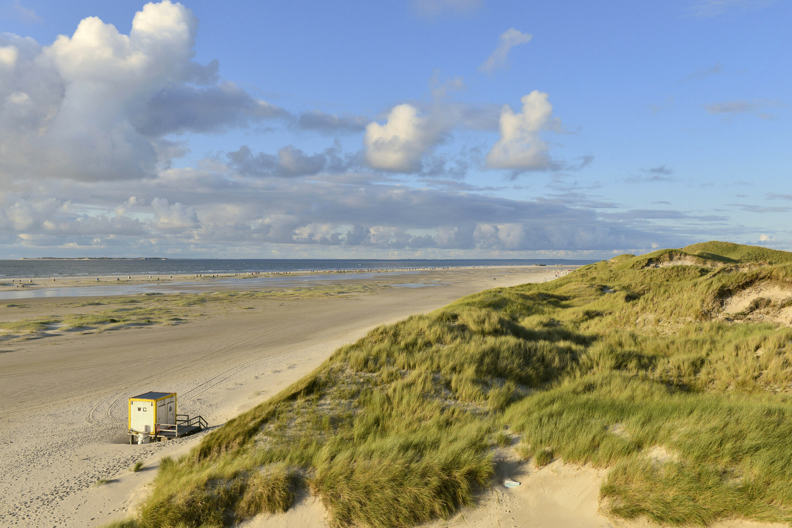 Hohe Randdünen der Insel Amrum