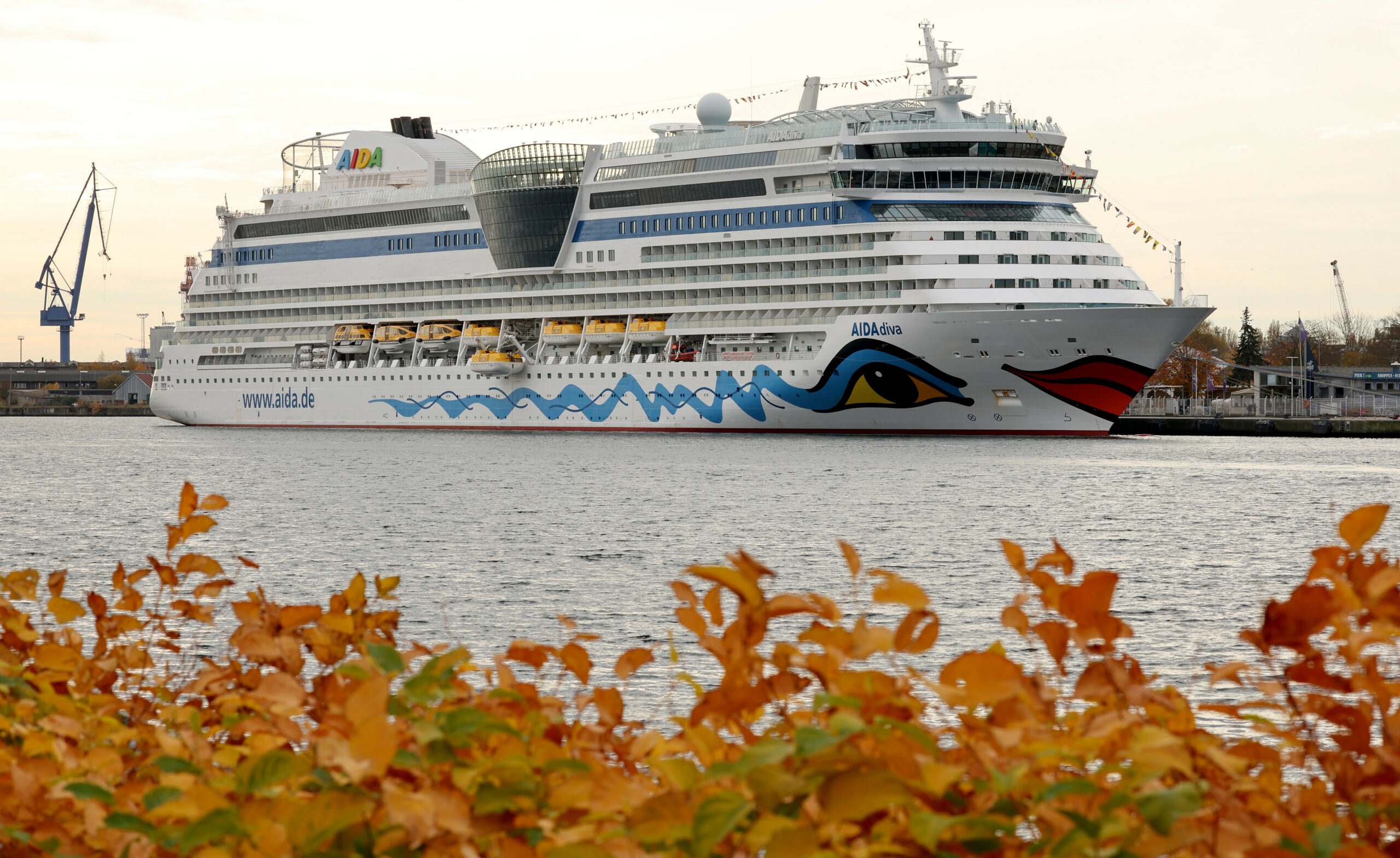 Die „Aidadiva“ befindet sich derzeit auf Weltreise. Nun ist an Bord das Norovirus ausgebrochen (Archivbild).