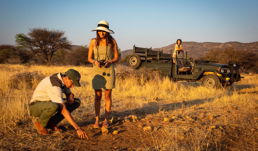 Namibias-rote-W-ste-Der-ultimative-Guide-f-r-Ihr-unvergessliches-Safari-Abenteuer