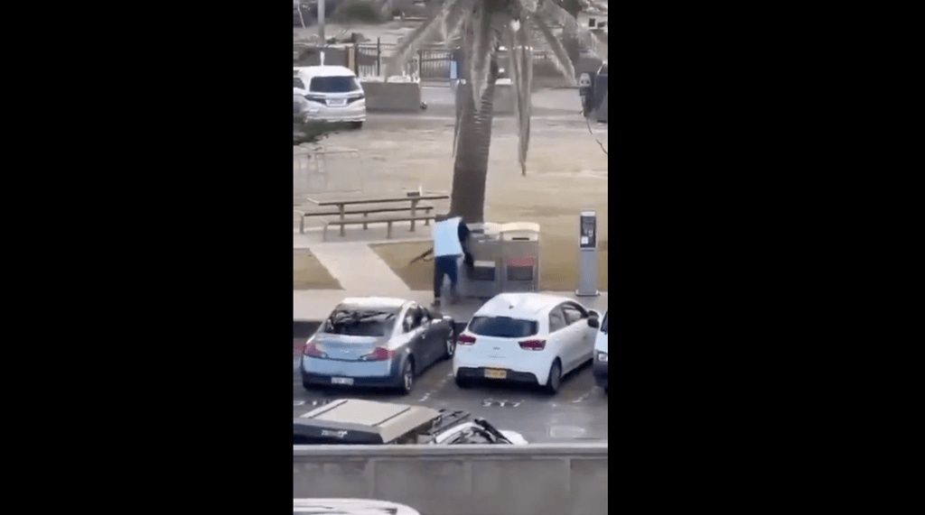 Ein Video soll den mutigen Einsatz eines Passanten zeigen.