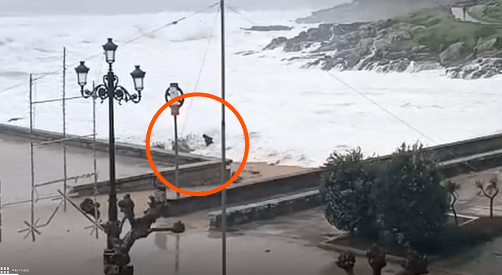 Die Frau am Strand von Baiona