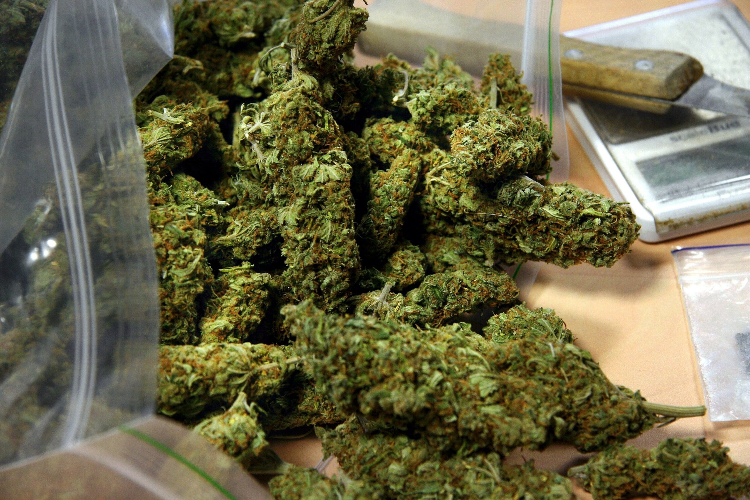 Cannabis (Symbolbild).