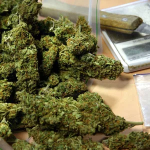 Cannabis (Symbolbild).