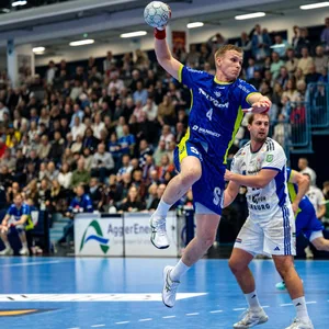 Ellidin Vidarsson setzt zum Wurf an