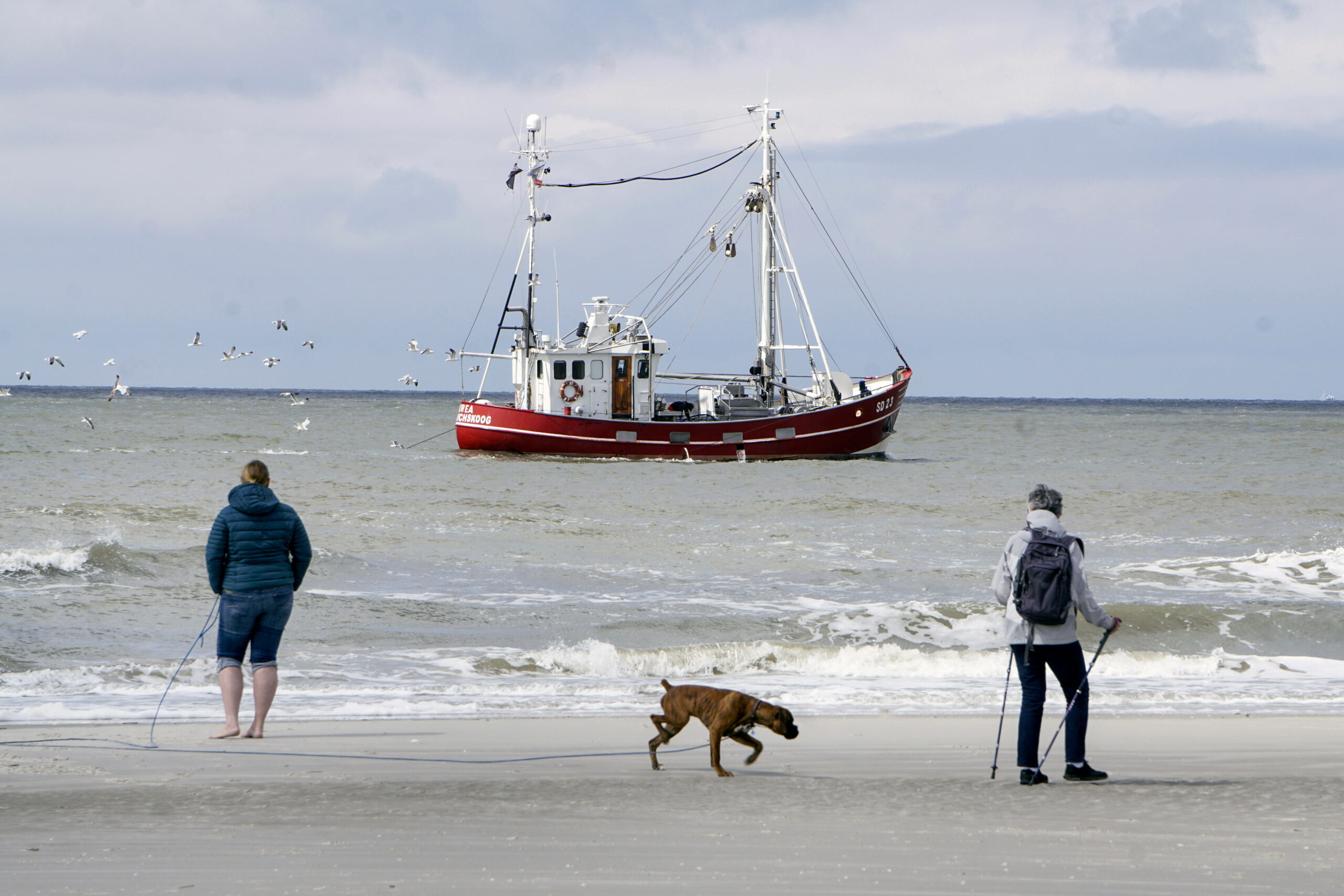 Viele Urlauber fahren mit ihren Hunden nach Amrum und Föhr, um dem Lärm zu entfliehen. Nun fürchten sie und die Insulaner um ihren ruhigen Jahreswechsel.