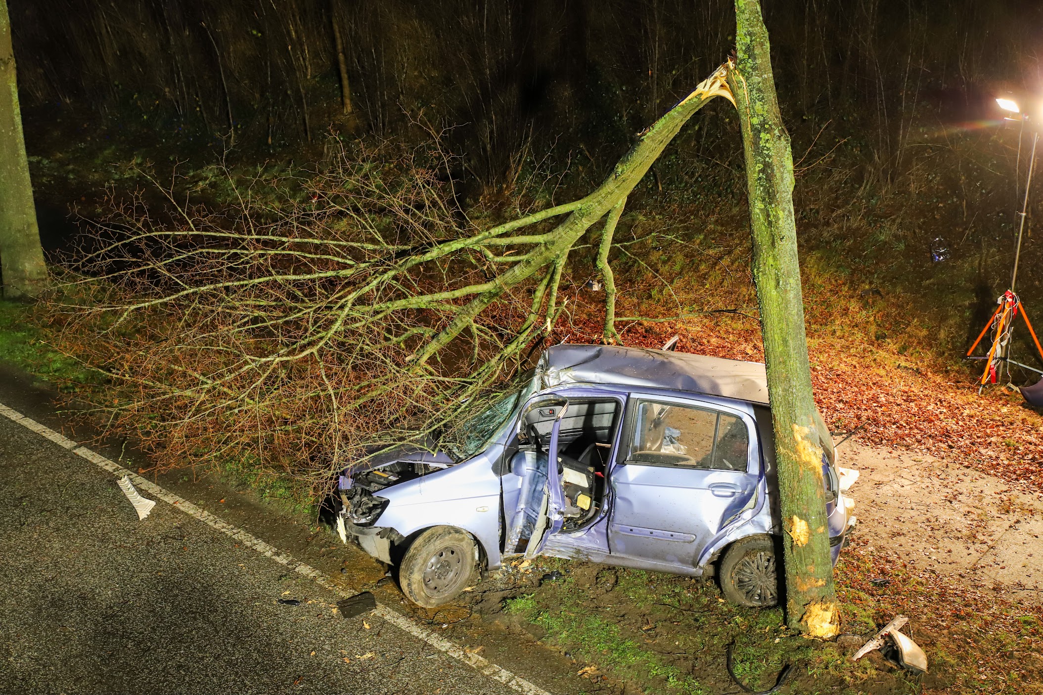 Der Baum knickte durch den Aufprall ab und krachte auf das Dach des Autos.