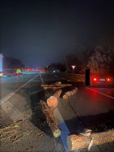 Polizei Seevetal Autobahn Baumstämme