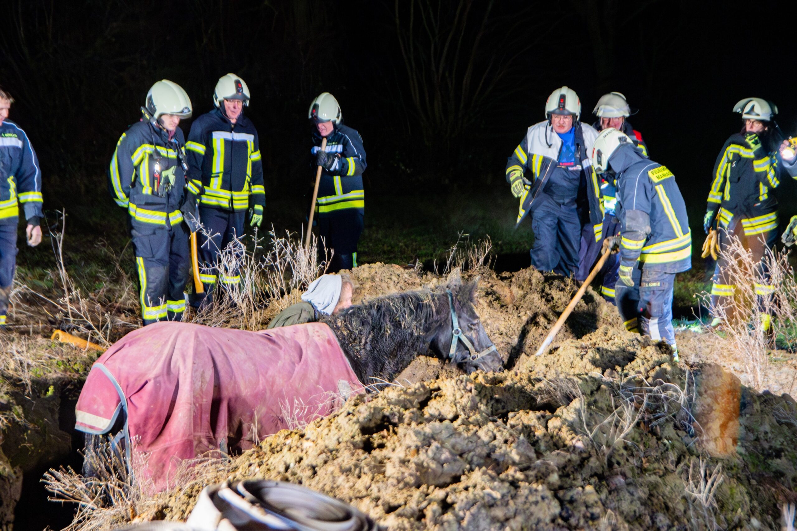 Feuerwehrleute retten die Stute, die in Manhagen im Kreis Ostholstein in einen Graben gestürzt ist.