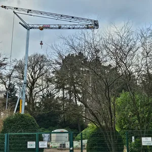 Kran Tierpark Hagenbeck Hamburg