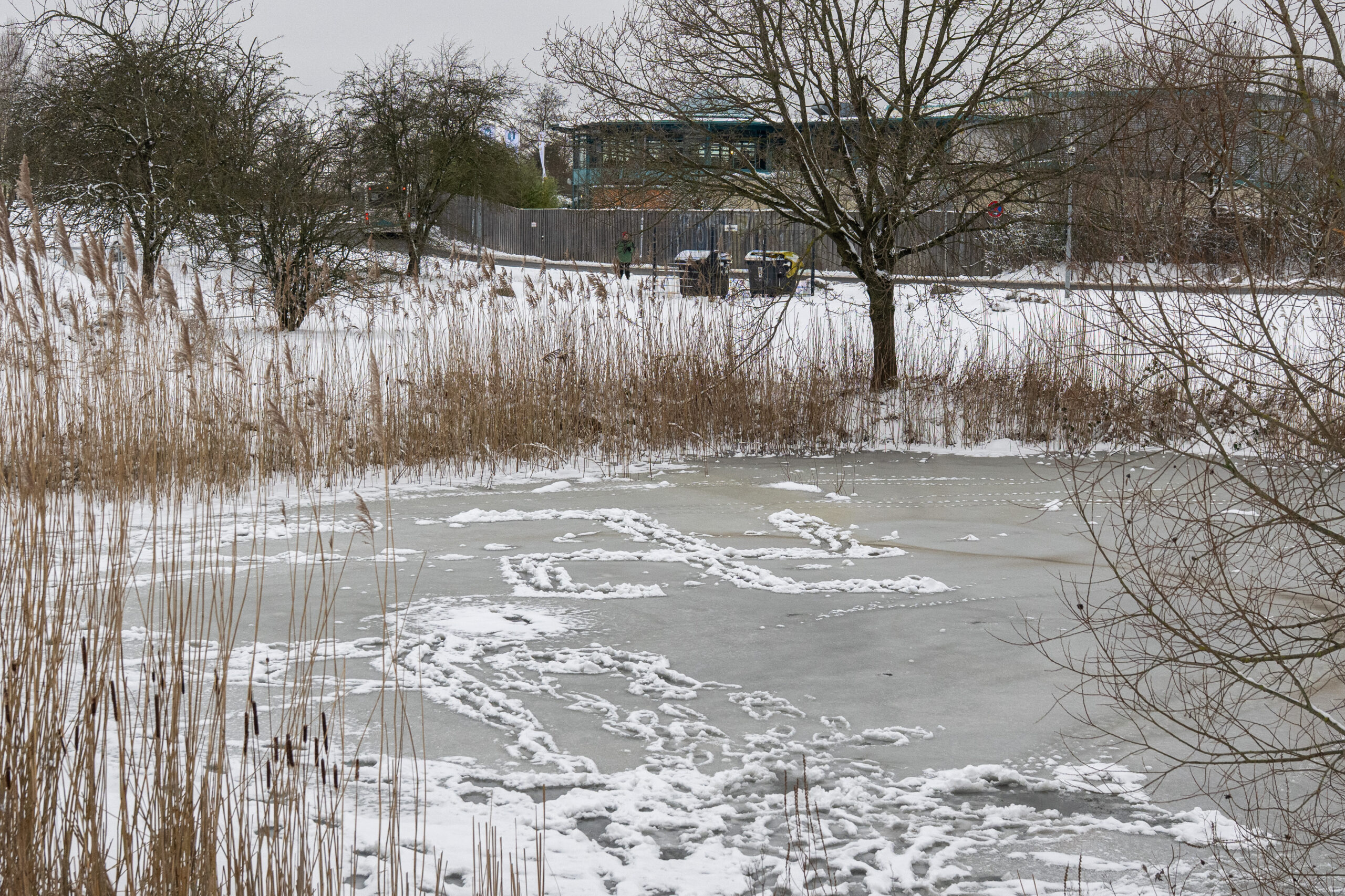 Hakenkreuze auf einem See