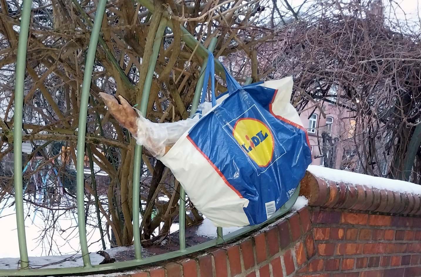 LKA ermittelt: Unbekannte hängen Schweinepfoten an Kirchenzaun in St. Georg