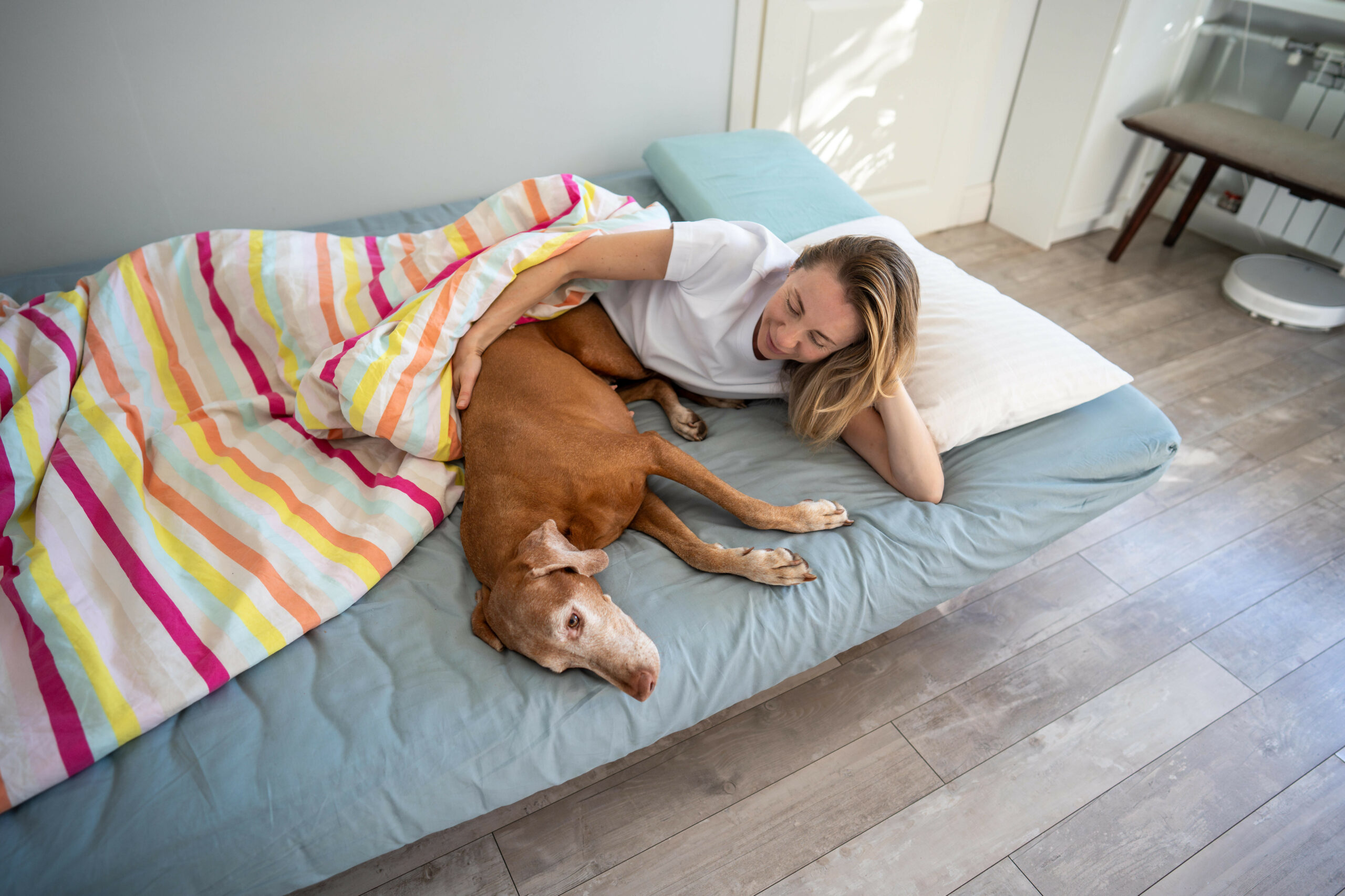 Eine Frau teilt sich mit ihrem Hund das Bett (Symbolbild).