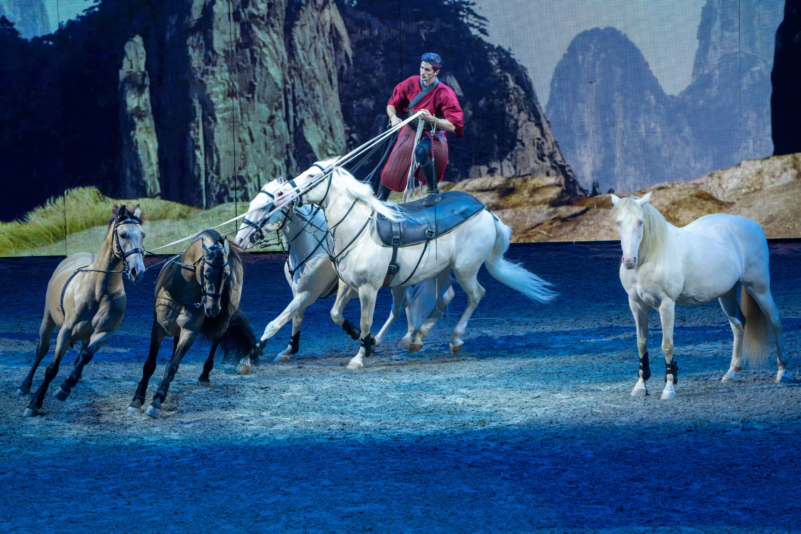 Gefahr durch zu große Schneelast auf dem Dach der Barcleycard Arena – Pferdeshow abgesagt